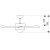 Schéma stropního ventilátoru AireRyder FN43315 Classic