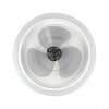 Noaton 12045W Dorado, bílá, stropní ventilátor se světlem 2