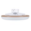Noaton 11055G Callisto, zlatá, stropní ventilátor se světlem - z boku