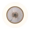 Noaton 11055G Callisto, zlatá, stropní ventilátor se světlem - světlo