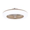 Noaton 11055G Callisto, zlatá, stropní ventilátor se světlem 2
