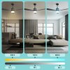 Noaton 14132BBDL Canis, černá a tmavě hnědá, stropní svítidlo s vestavěným ventilátorem - světlo a stmívání