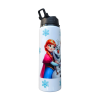 Cestovná fľaša - Frozen