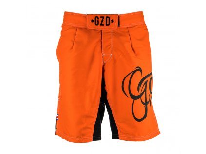 Shorts 2 Orange