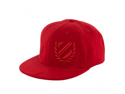 Snapback III Allred front