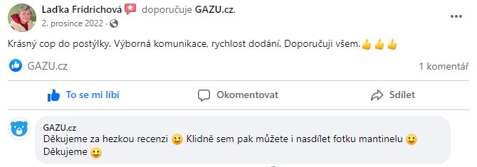 facebook_recenze_gazu