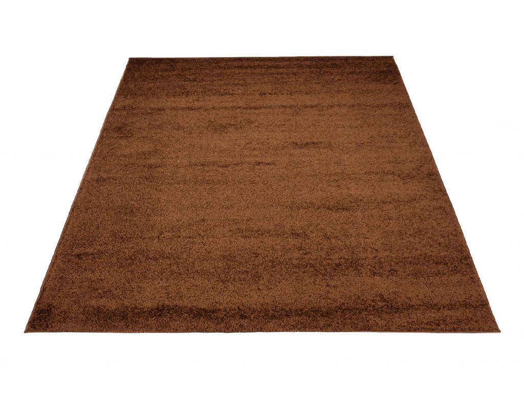 Moderní koberec Delhi - jednobarevný - hnědý
