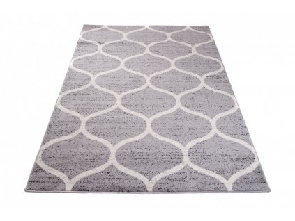 Moderní koberec Jawa - šedý - symboly 1