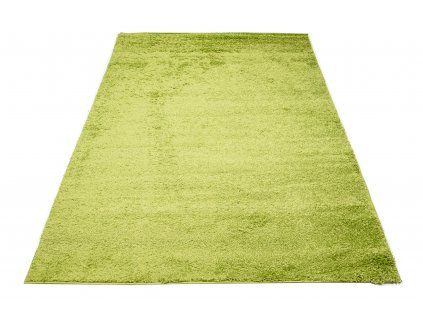 Moderní koberec Delhi - jednobarevný - zelený