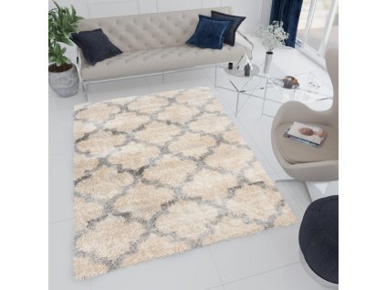 Moderní koberec Versay Shaggy - mřížka - béžový