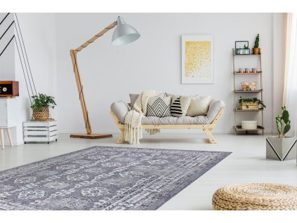 Odolný koberec Sisi Sion - rám a vzor 2 - modrý