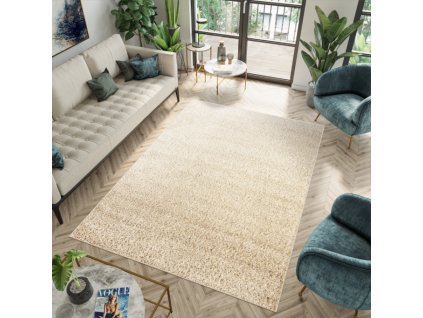 Moderní koberec SOHO - béžový 1