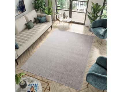 Moderní koberec SOHO - světle šedý