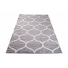 Moderní koberec Jawa - šedý - symboly 1