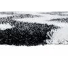 Kusový koberec Optimal Shaggy - vlnky 1 - černý/bílý