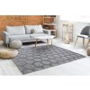Moderní koberec Sisi Alto - vzor 19 - šedý