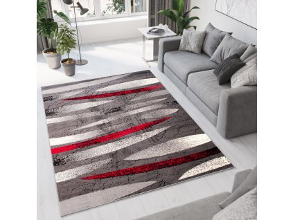 Moderný koberec Tap - obrazce 3 - sivý/červený