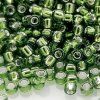 matsuno 55 rr beads zelená 273 12 M