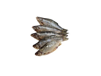 Obrázek