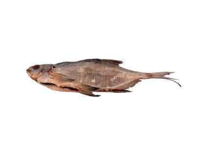 Obrázek