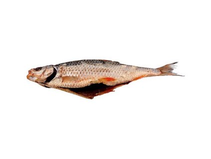 Obrázek