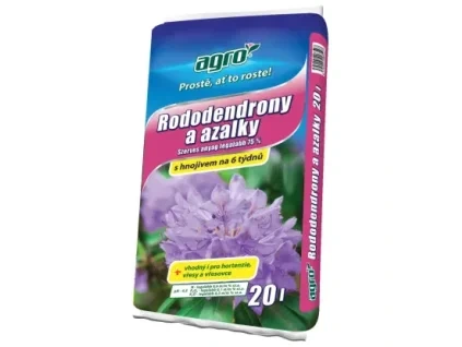 rorododendronyaazalky20l 1