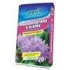 rorododendronyaazalky20l 1