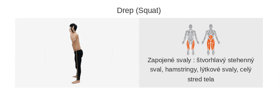 GD EXPUSH