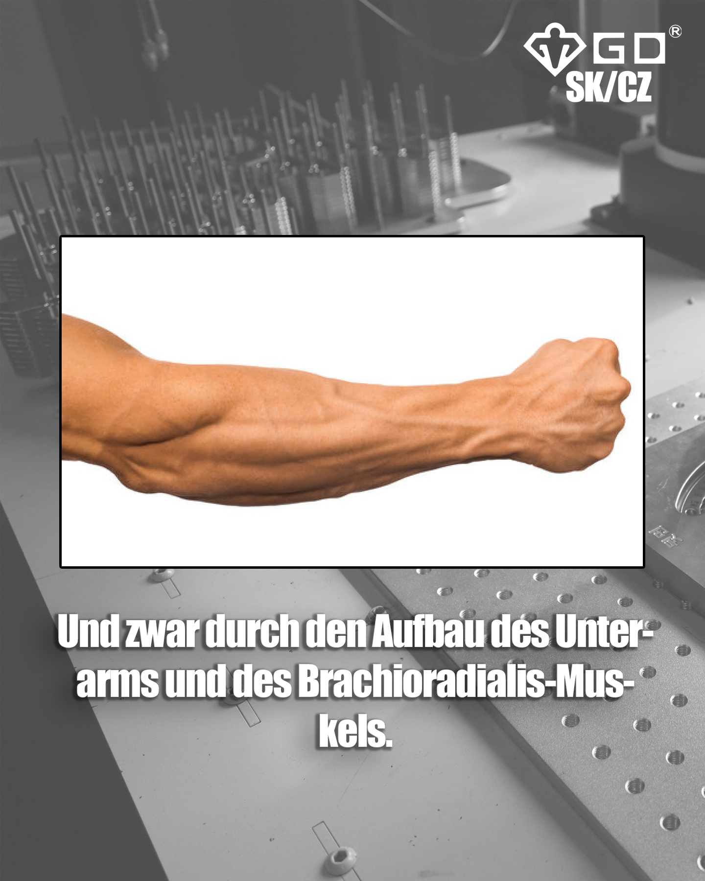 de_article3_04_EinschmalesHandgelenkDE04