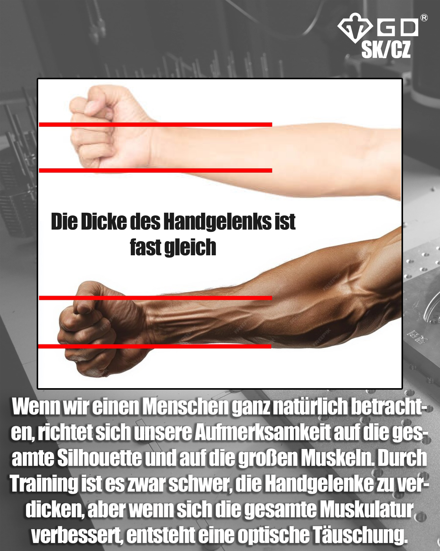 de_article3_05_EinschmalesHandgelenkDE05
