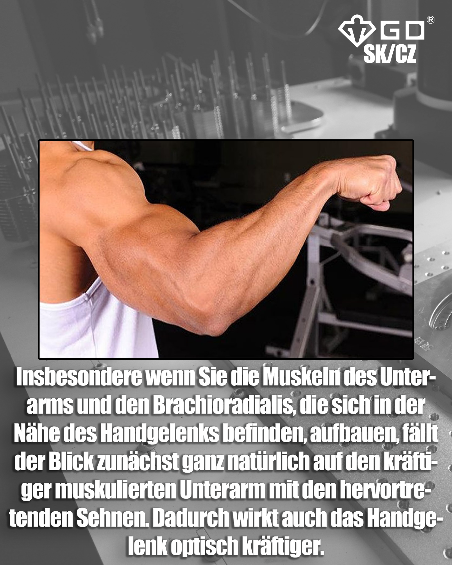 de_article3_06_EinschmalesHandgelenkDE06