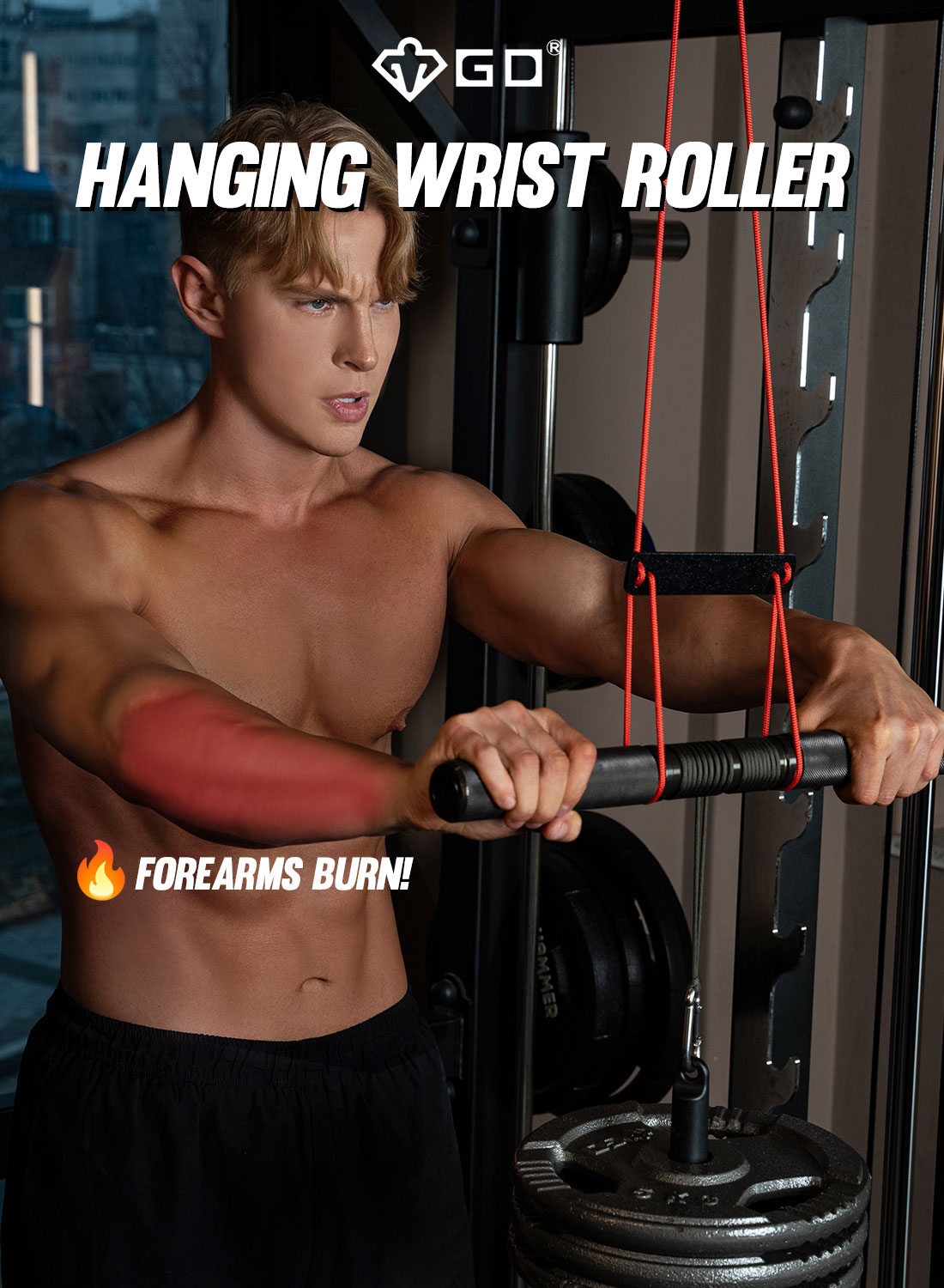 gd-hanging-wrist-roller-v-premium-hanging-wrist-roller-and-forearm-strengthener