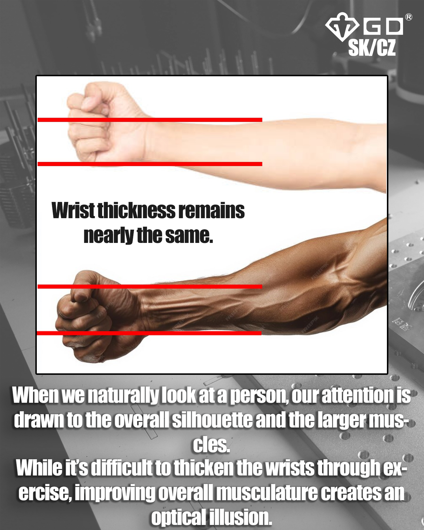 gd-hanging-wrist-roller-v-premium-hanging-wrist-roller-and-forearm-strengthener