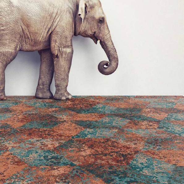 Carpet Acoustics - Healthy and Productive Environment