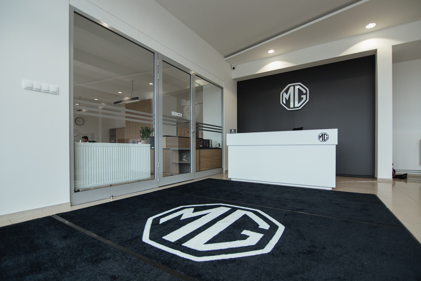 Custom printed advertising carpets