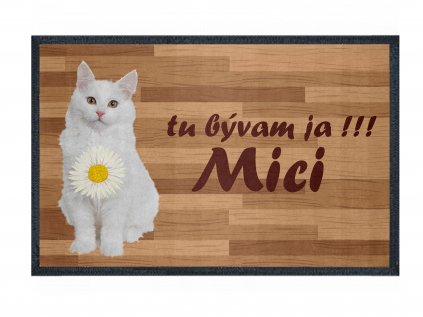 GDmatsEU | doormat with your own cat photo and name