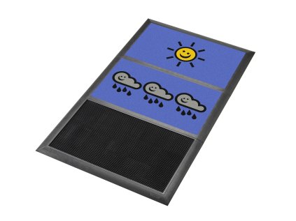 Sani-Master™ - Disinfecting Mat with Drying Zone | GDmatsEU