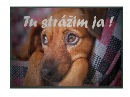 GDmatsEU | personalized doormat - I'm guarding here - with a dog