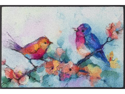 Birdorama 50x75cm 02 9010216056617 DRAUFSICHT kl