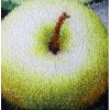 463 13 gd900 colorstar logo rohoz 10 mm vlas 2 cm gumovy okraj