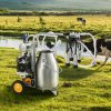 us YDSJNJC25L3040BN2V2 original img v1 milking machine m100 1.12
