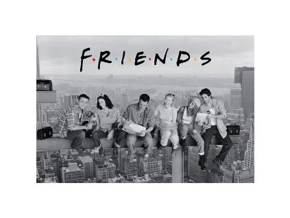 plakat friends skyscraper 60e8163f4ff91