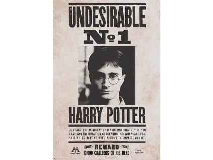 plakat harry potter undesirable n%C2%B01 618a868010e6d