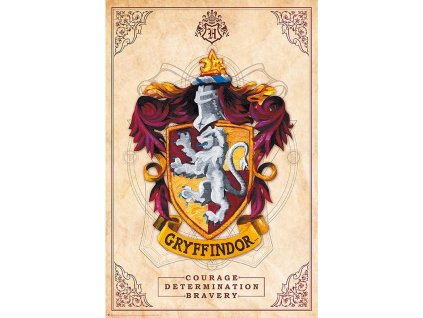 plakat harry potter nebelvir 618a86a2d6d1e