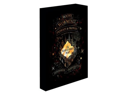 svitici obraz harry potter pobertuv planek 639a9a95d9606