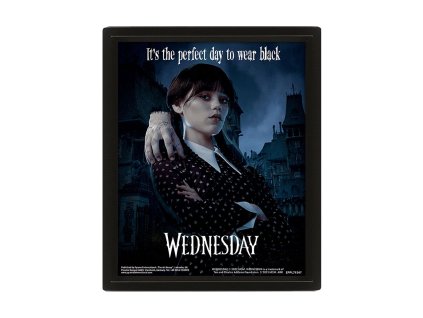 obraz wednesday perfect day 3d 655c99d24fef4