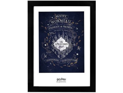 obraz harry potter pobertuv planek 659cc395d3027