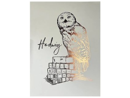 obraz harry potter hedvika 66c6a886847b0