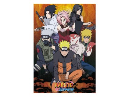 plakat naruto shippuden team 671103de3beaa
