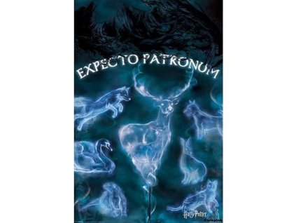 plakat harry potter patronus 5f4dc4ea0a2fe